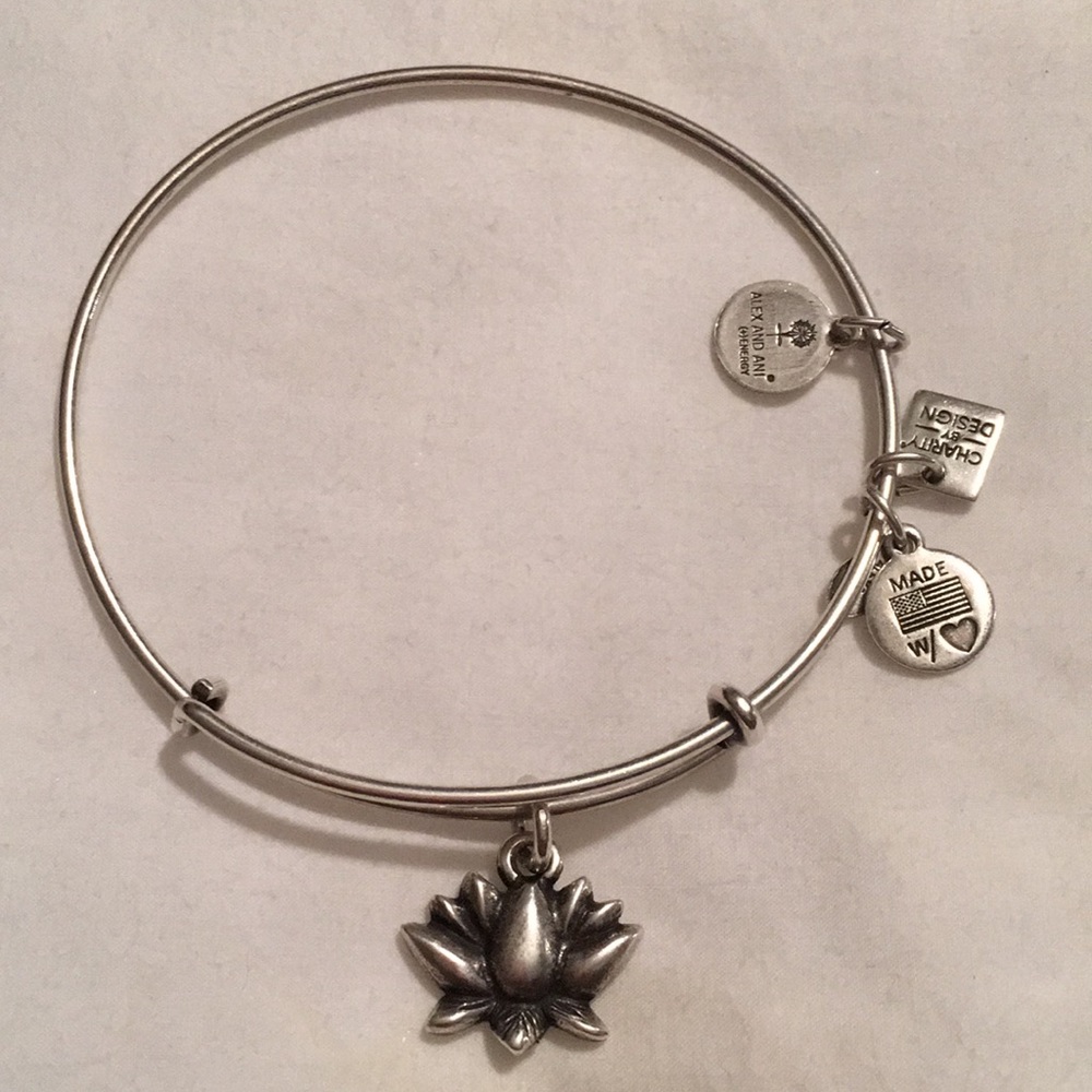 Alex & Ani bracelet